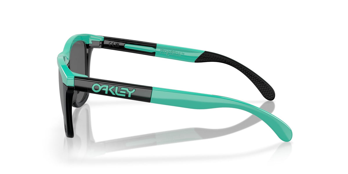 Oakley Frogskins Range OO9284