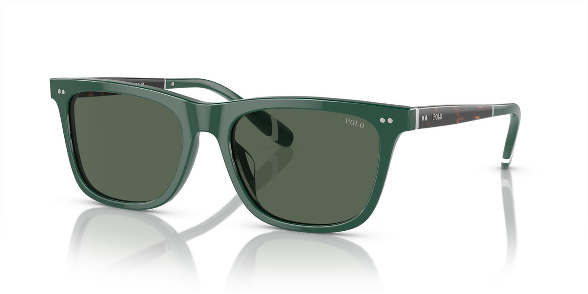 Polo Ralph Lauren PH4205U