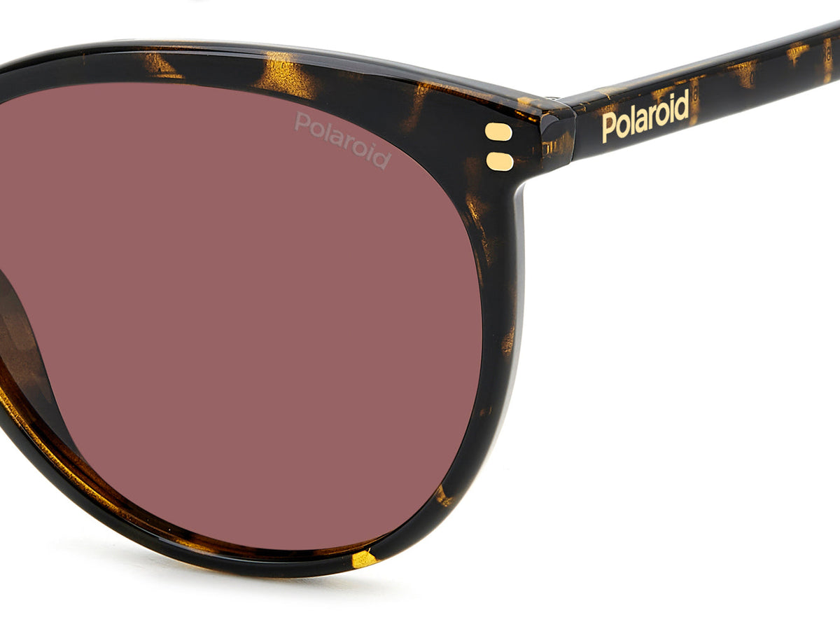 Polaroid PLD 6231/S