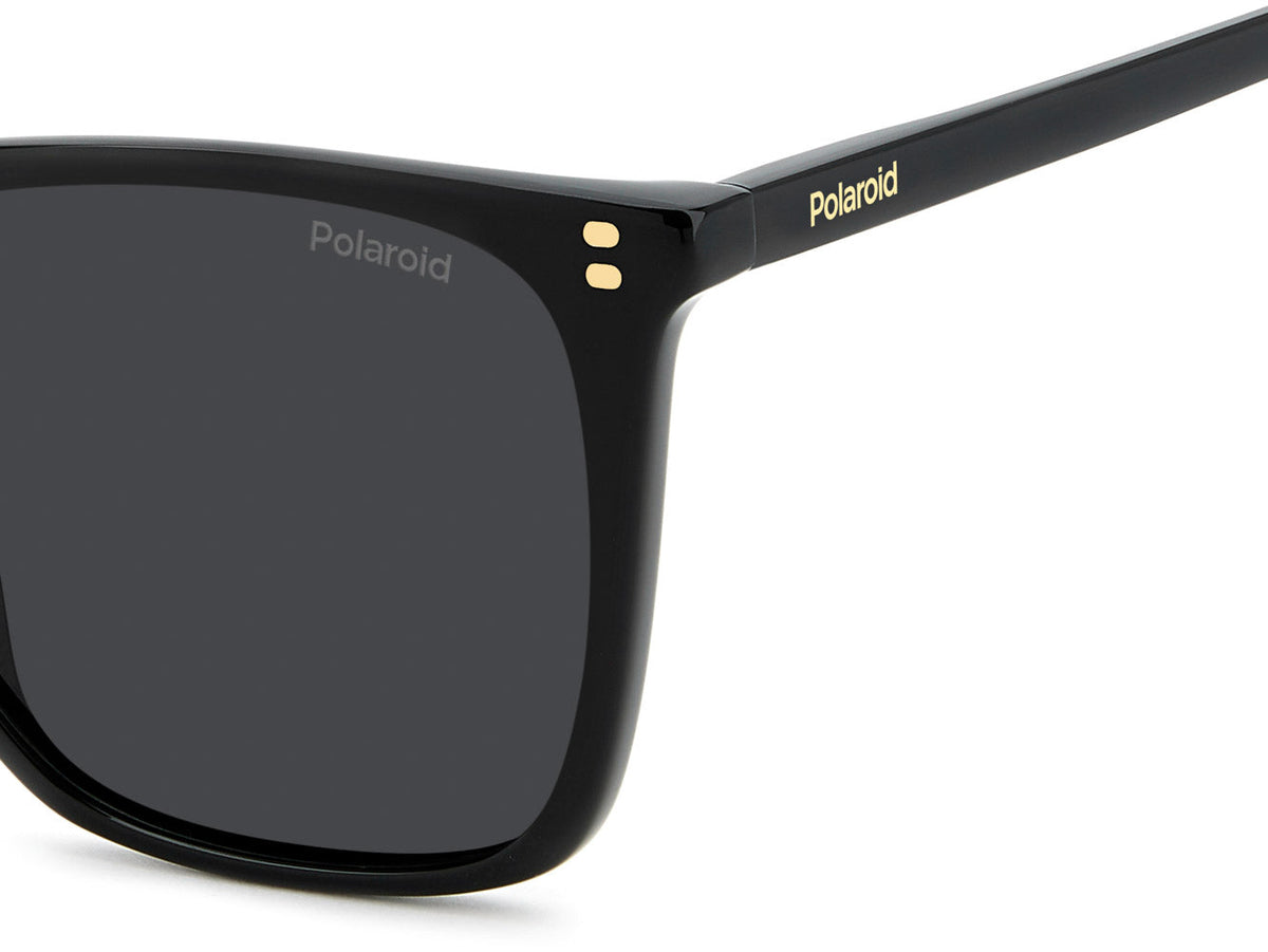 Polaroid PLD 4201/S/X