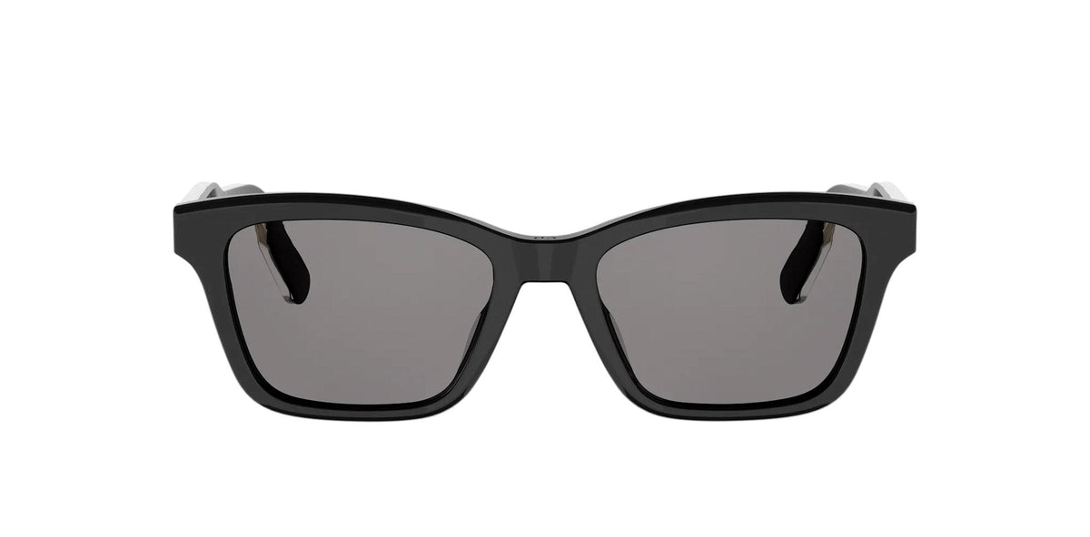 Dior DioRibbon S2I