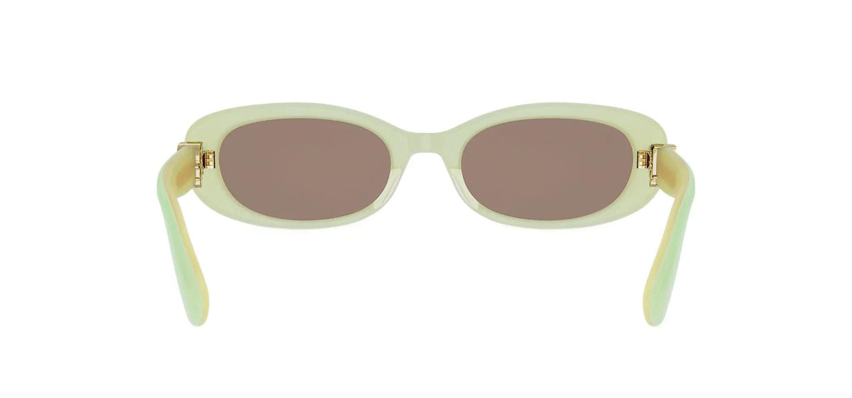 Dior Oblique B1I
