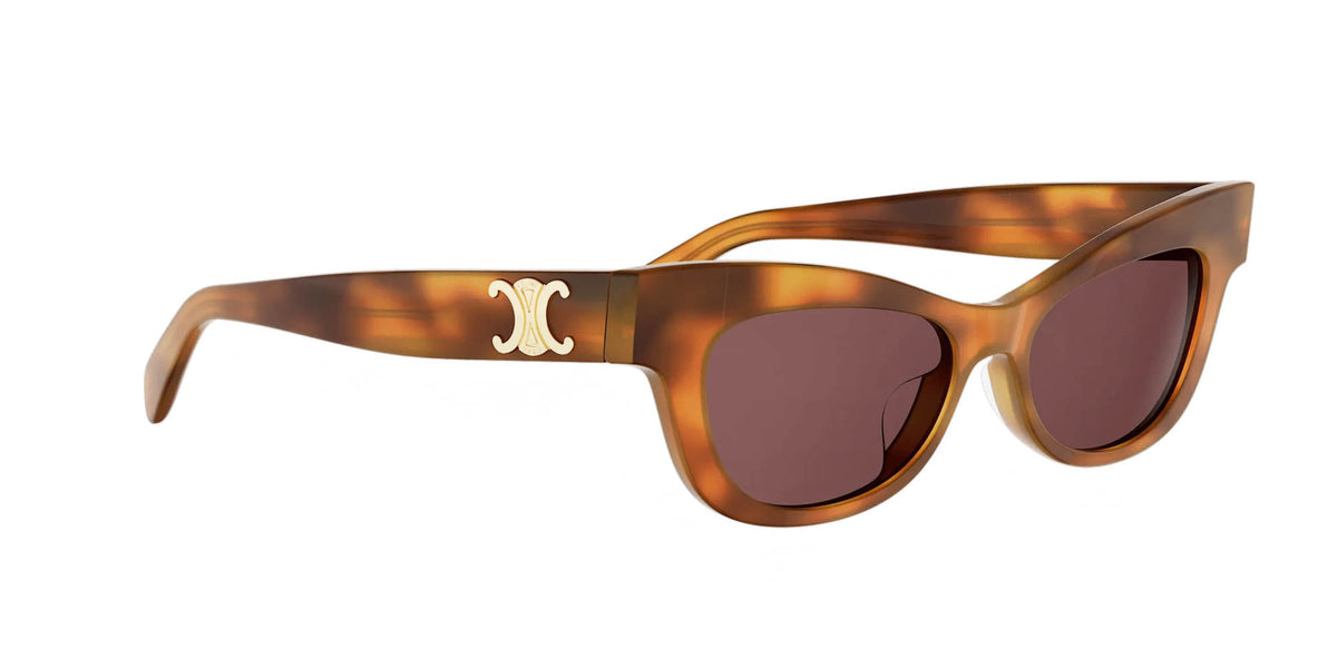 CELINE Triomphe CL40352U