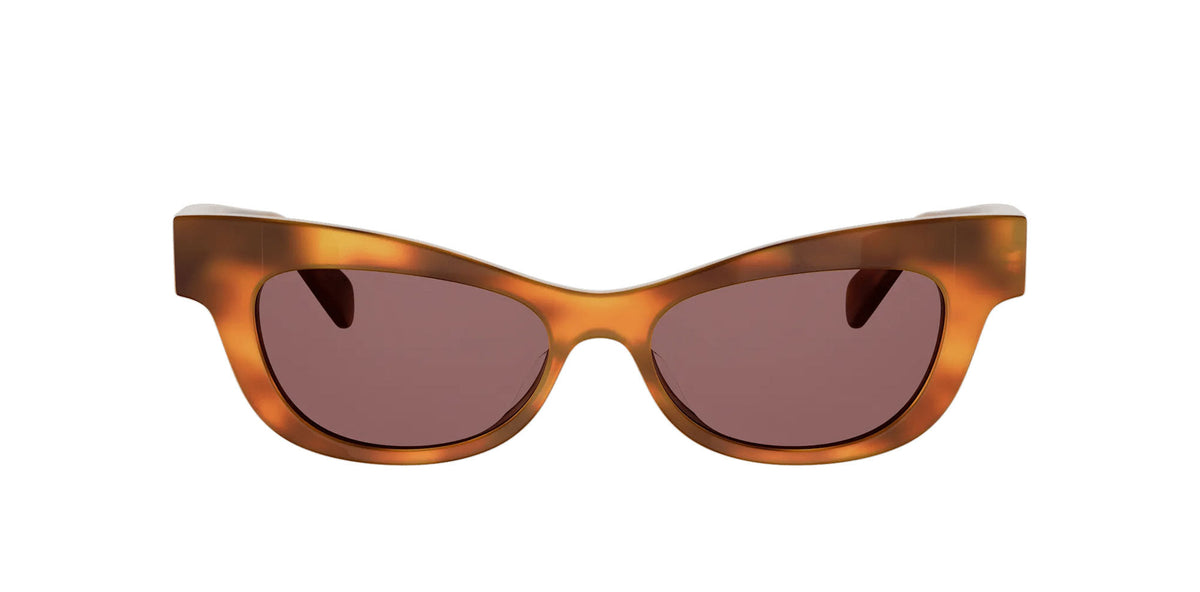 CELINE Triomphe CL40352U