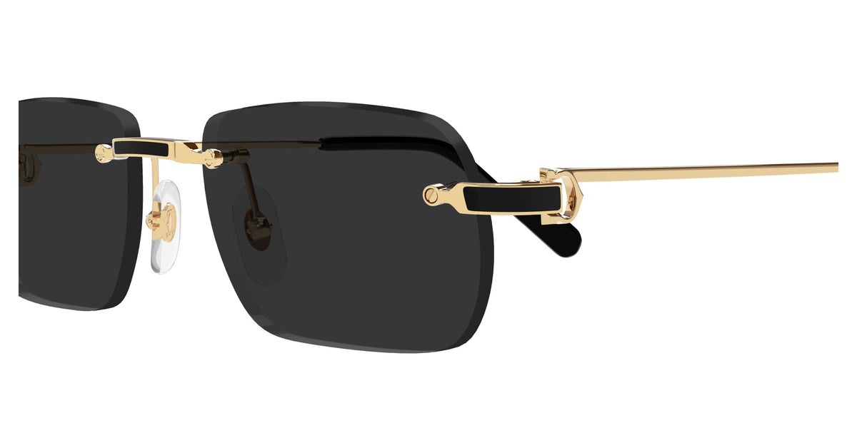 Cartier CT0498S