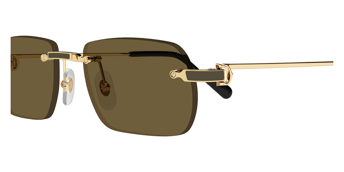 Cartier CT0498S