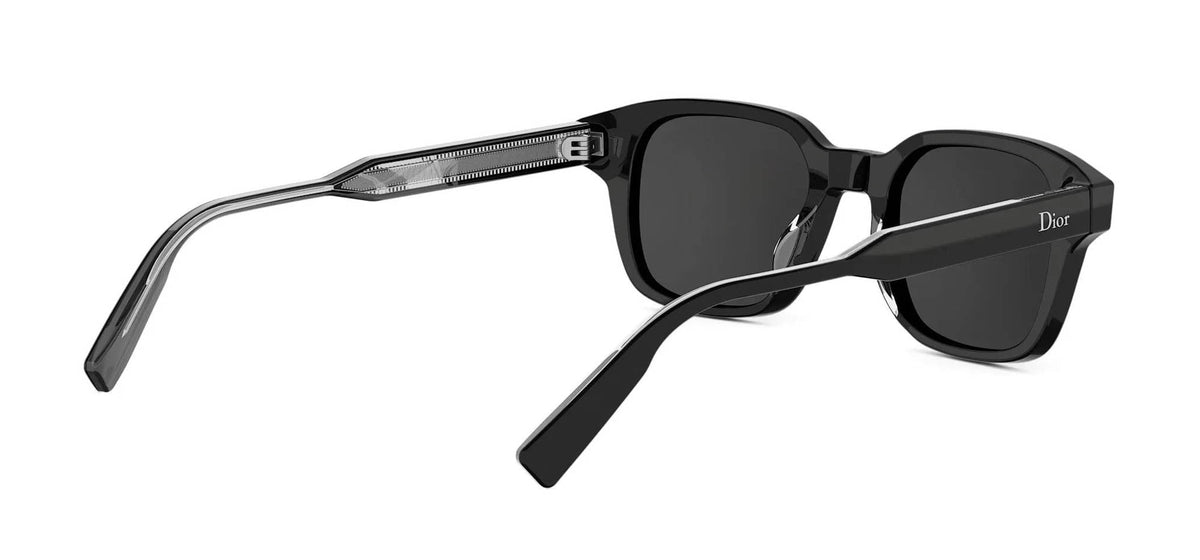 Dior DioRibbon S1I