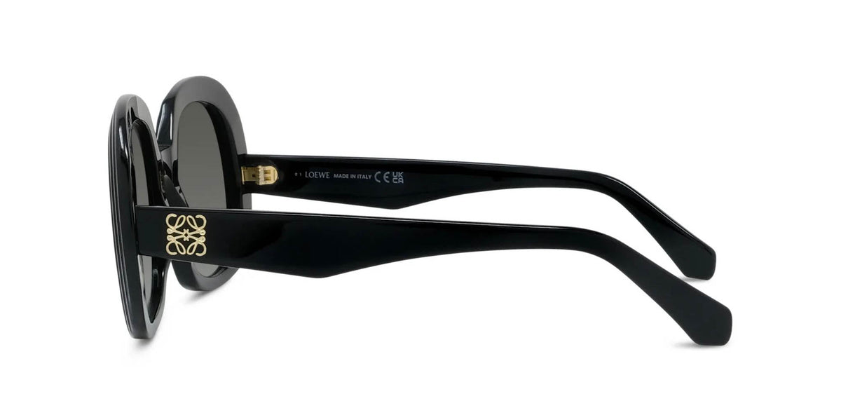 Loewe Anagram LW40206I