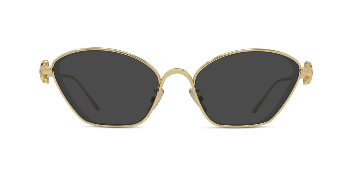 Loewe Anagram LW40209U