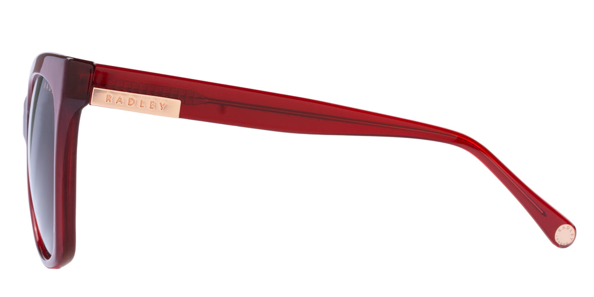 Radley RDS-6504