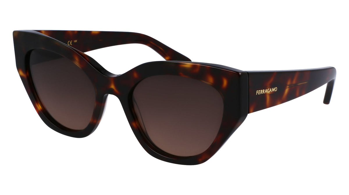 Ferragamo SF1107S