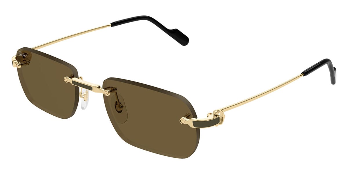 Cartier CT0498S